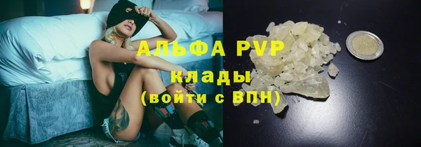 шишки Володарск