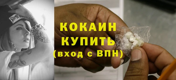 шишки Володарск
