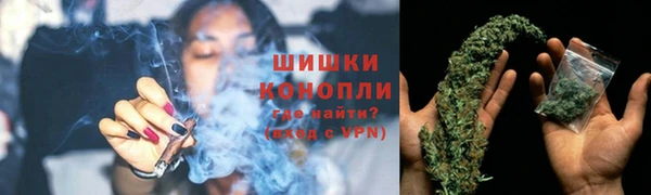 шишки Вязьма