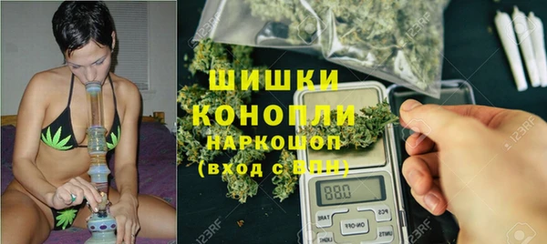 шишки Вязьма